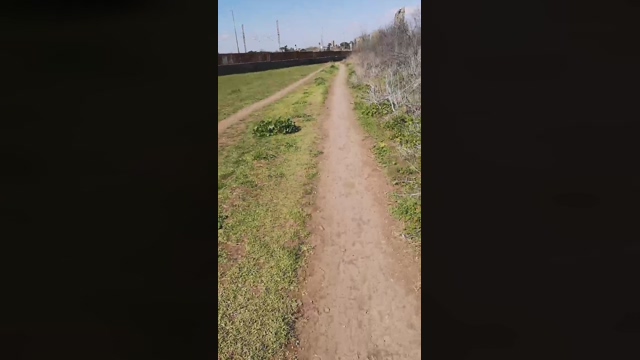 Jojonny  08-03-2022